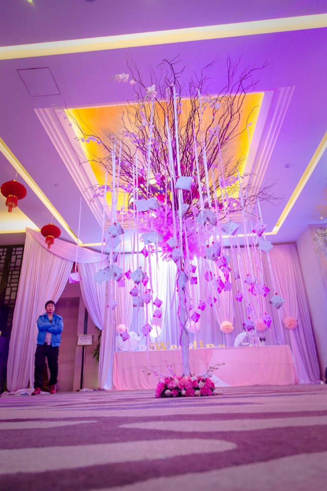 迎宾区,唯美梦幻室内婚礼,吊饰,