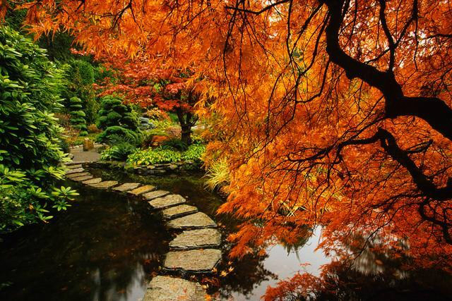 主题婚礼,查布特日本式花园,