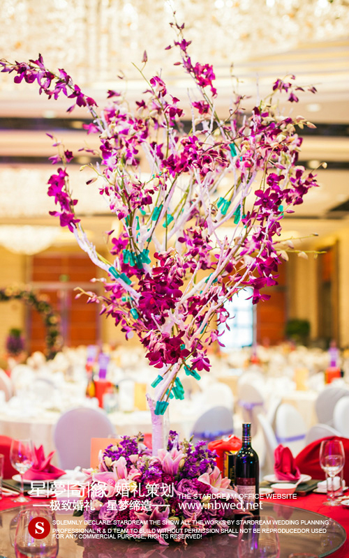 高大桌花,