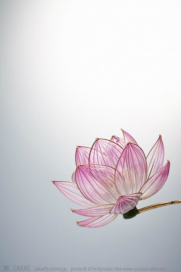 唯美梦幻头饰,荣Sakae发簪,