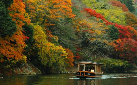 日本京都岚山,蜜月攻略,