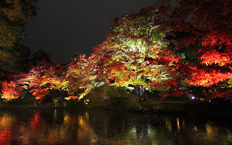 日本京都清水寺,蜜月攻略,