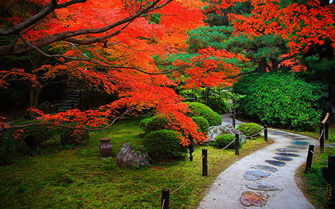 日本京都三千院,蜜月攻略,