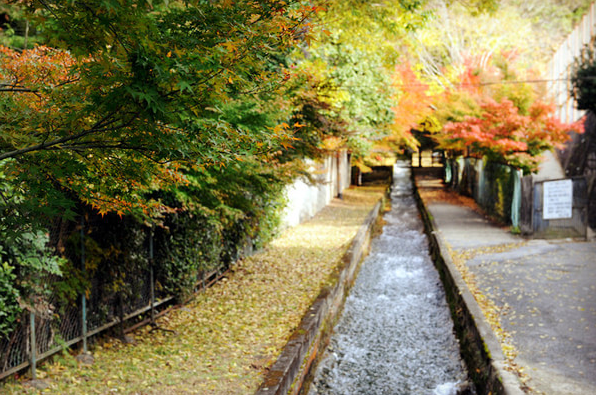 日本京都,蜜月攻略,
