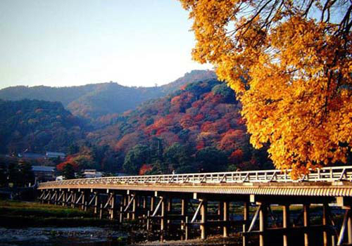 日本京都岚山,蜜月攻略,