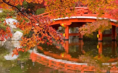 日本京都醍醐寺,蜜月攻略,