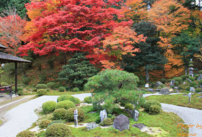 日本京都曼殊院,蜜月攻略,