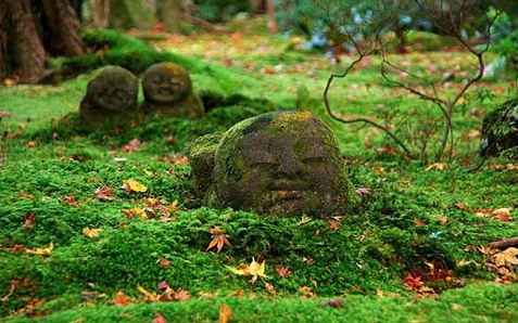日本京都三千院,蜜月攻略,