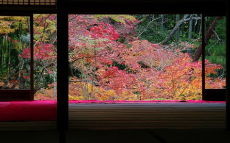 日本京都南禅寺,蜜月攻略,