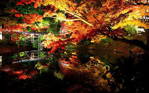 日本京都清水寺,蜜月攻略,