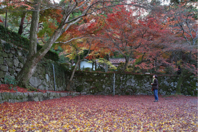 日本京都南禅寺,蜜月攻略,