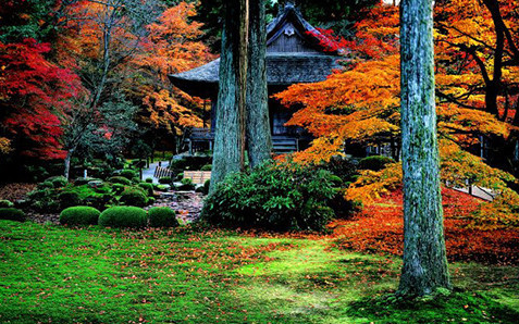 日本京都三千院,蜜月攻略,
