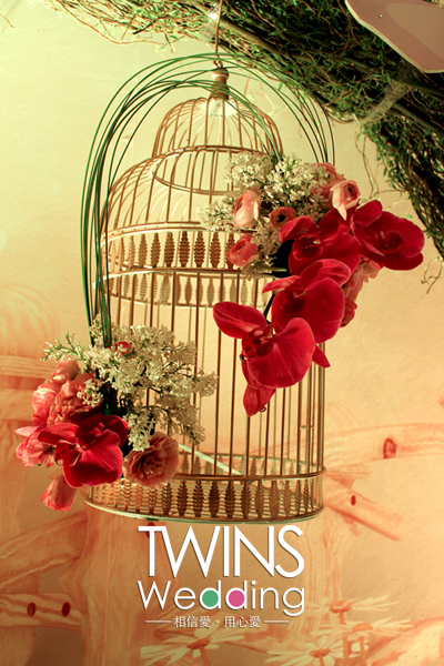 春日,花园,午后,