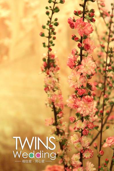 春日,花园,午后,