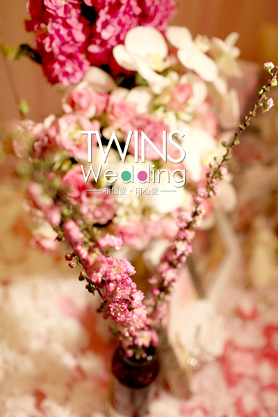 春日,花园,午后,