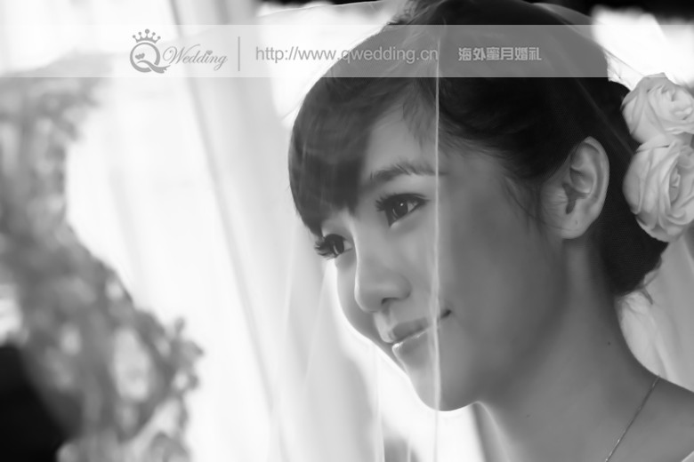 宝格丽,至尊,专属,