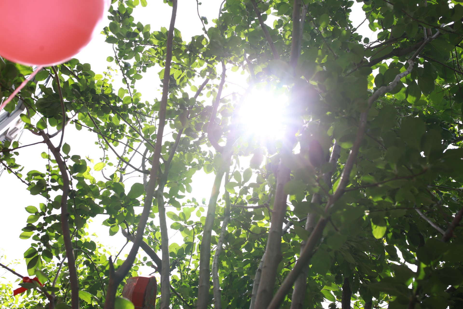 20140502,马克西姆,餐厅,