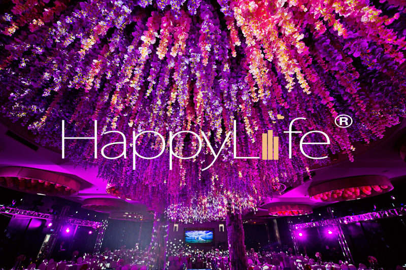 《晨雾》涵田度假村