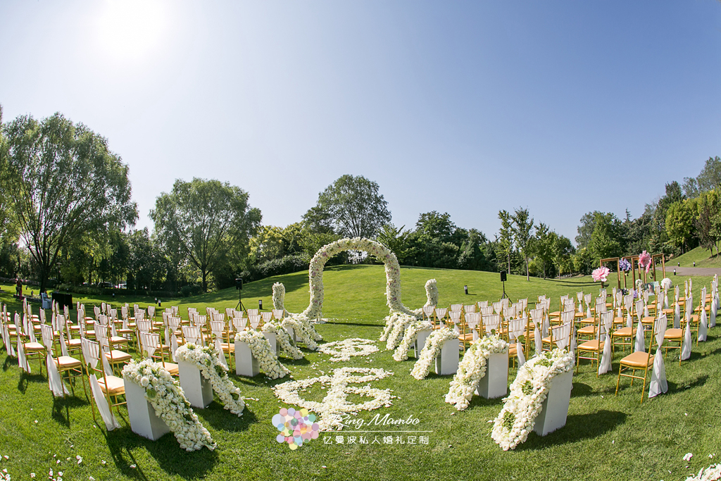 户外草坪婚礼,花瓣路引,小清新,