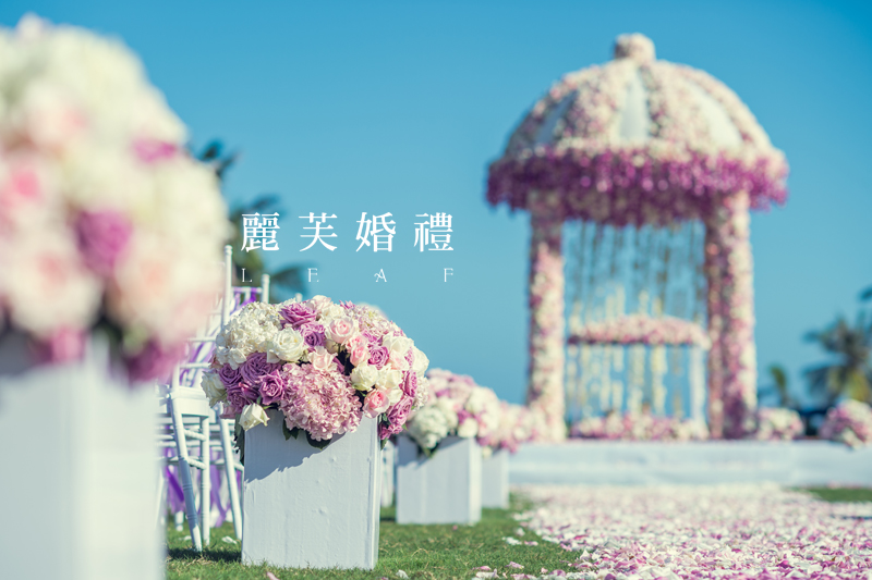 鲜花路引,