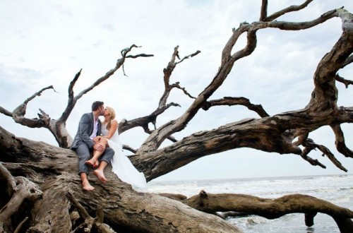 枯木,海滩婚纱照,kiss,