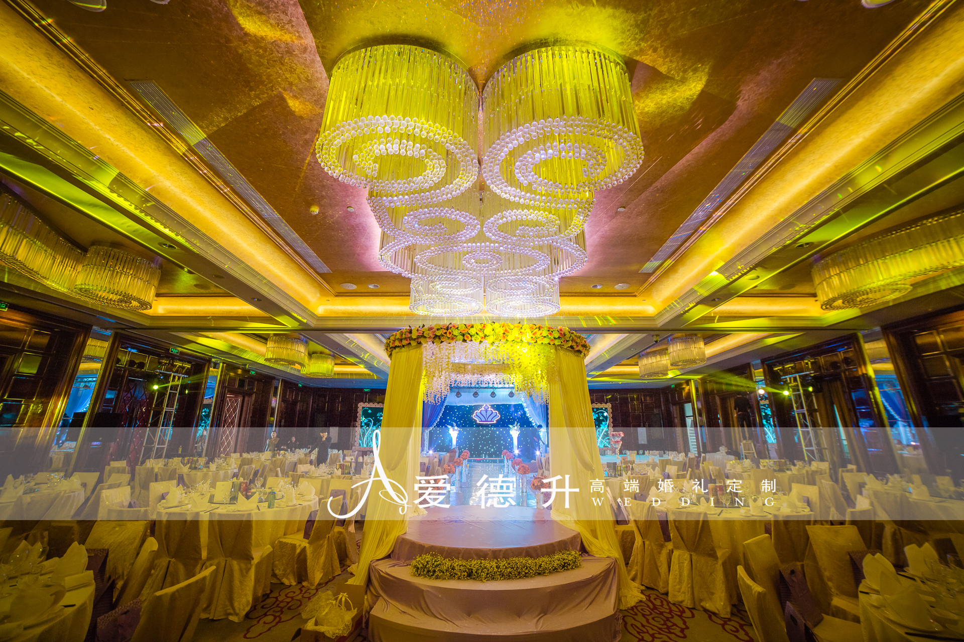 十年公主，宠爱一生