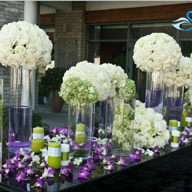 昆明思薇黛尔婚礼订制中心:昆明户外婚礼