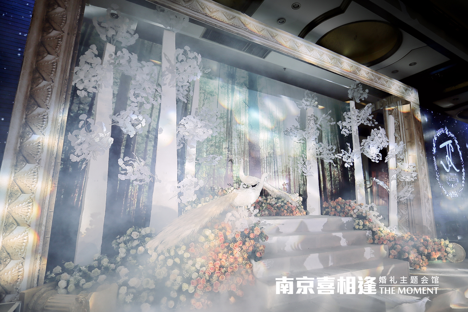 《雀之舞》紫色梦幻婚礼