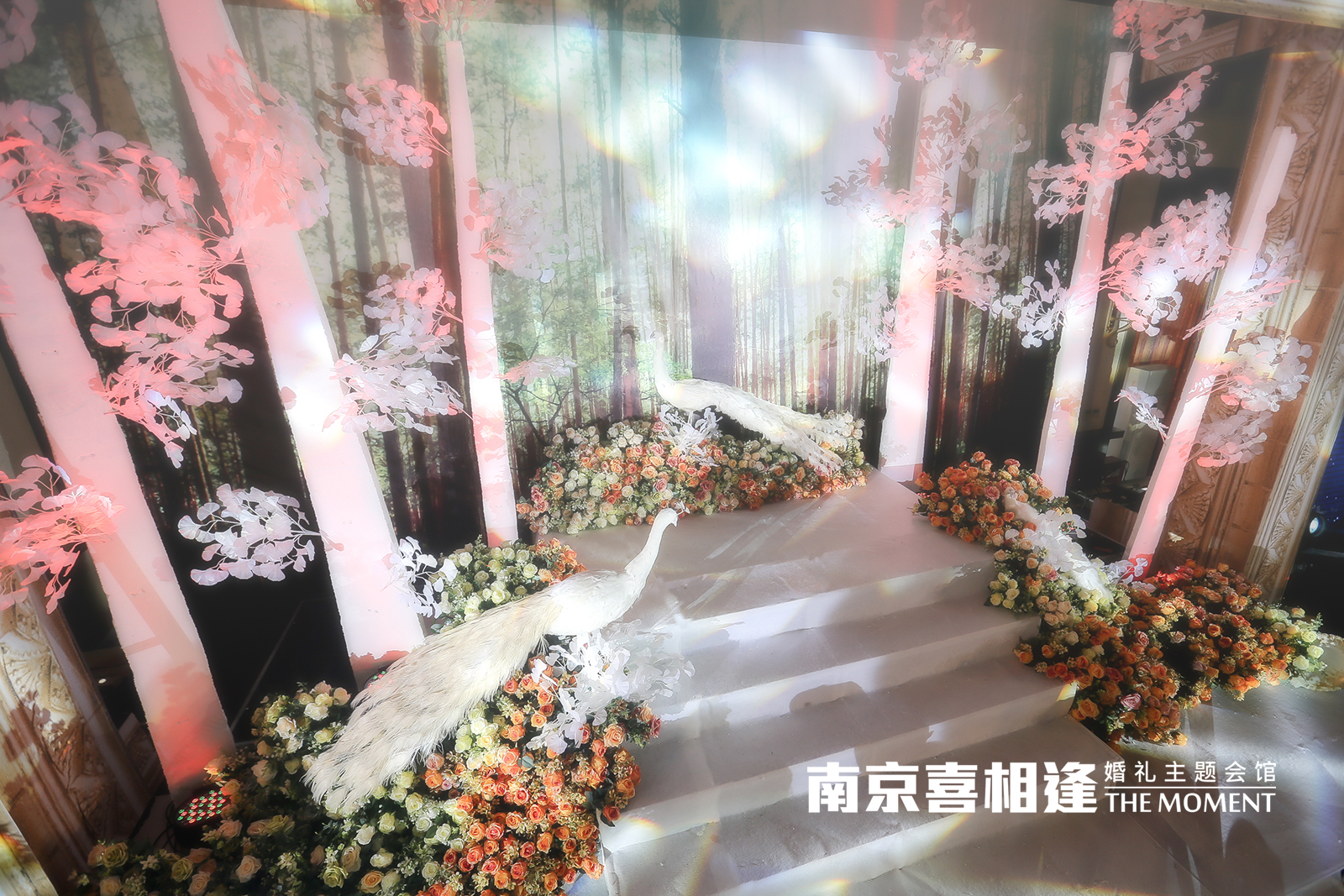 婚礼布置,花艺设计,孔雀,