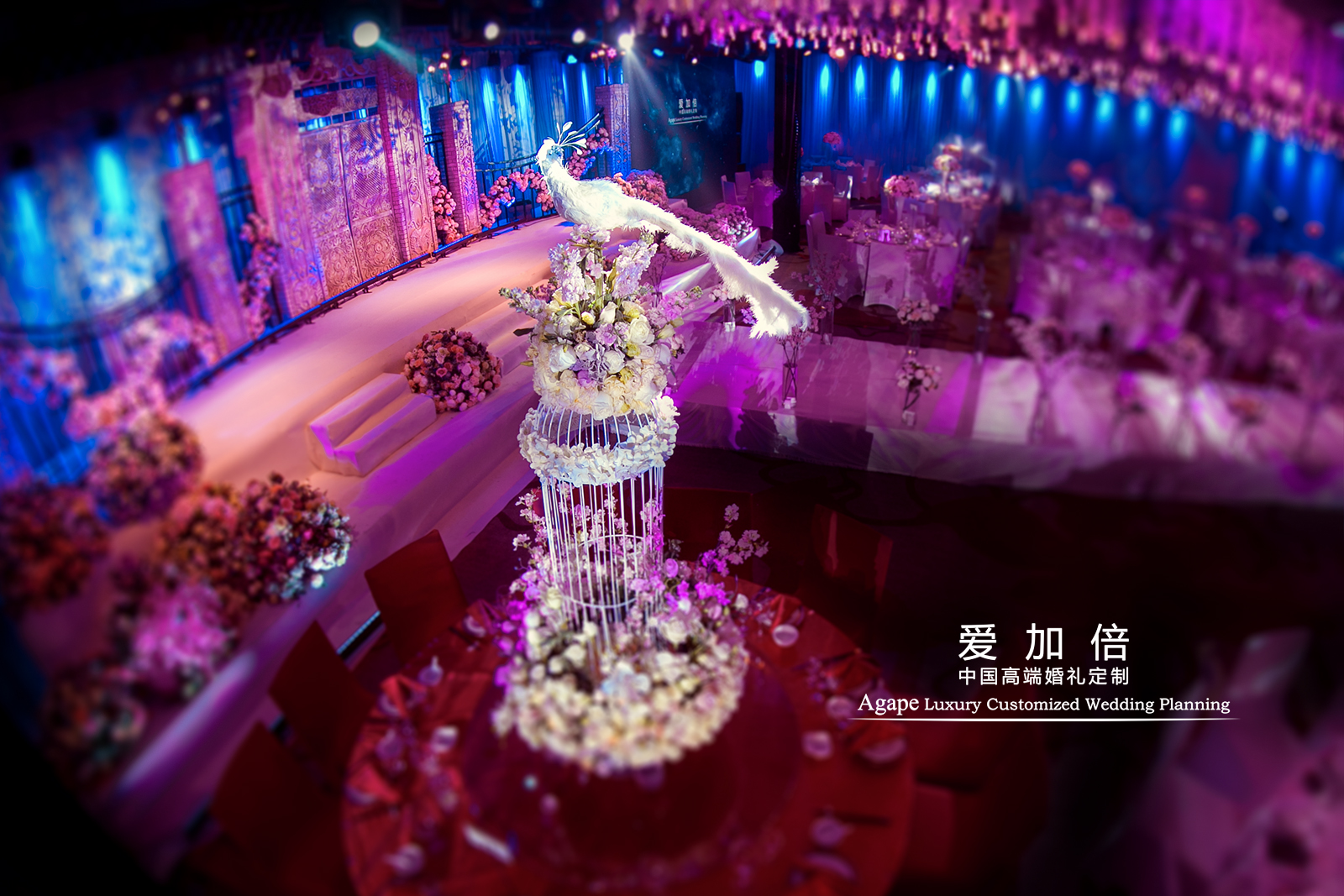 高大桌花,婚礼布置,唯美梦幻风婚礼,
