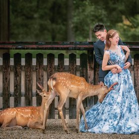 AK婚纱:绣花无袖A字裙新娘l礼服《记“鹿”我们的幸福》