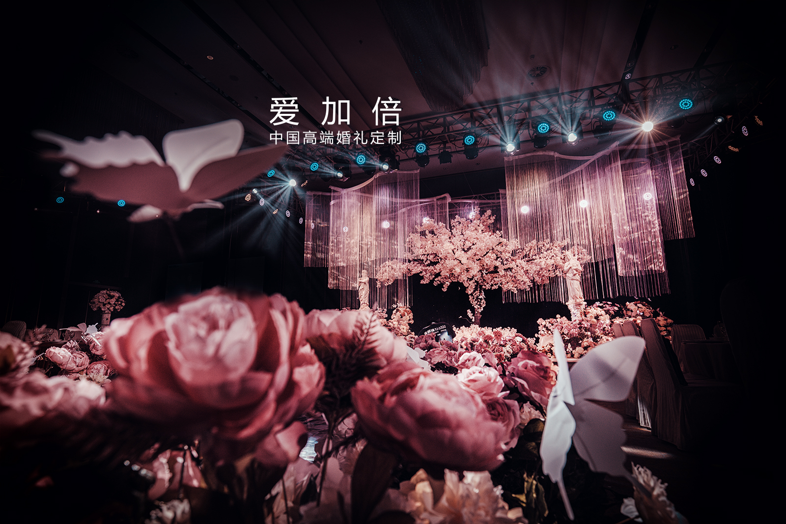 婚礼场地,宴会厅婚礼,唯美梦幻风婚礼,