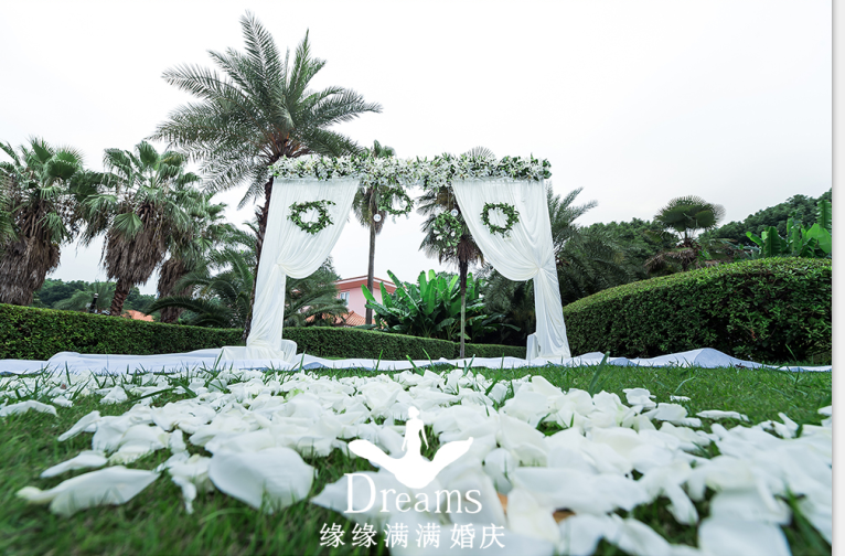 简洁清新婚礼《曾爱为你，一见卿心》