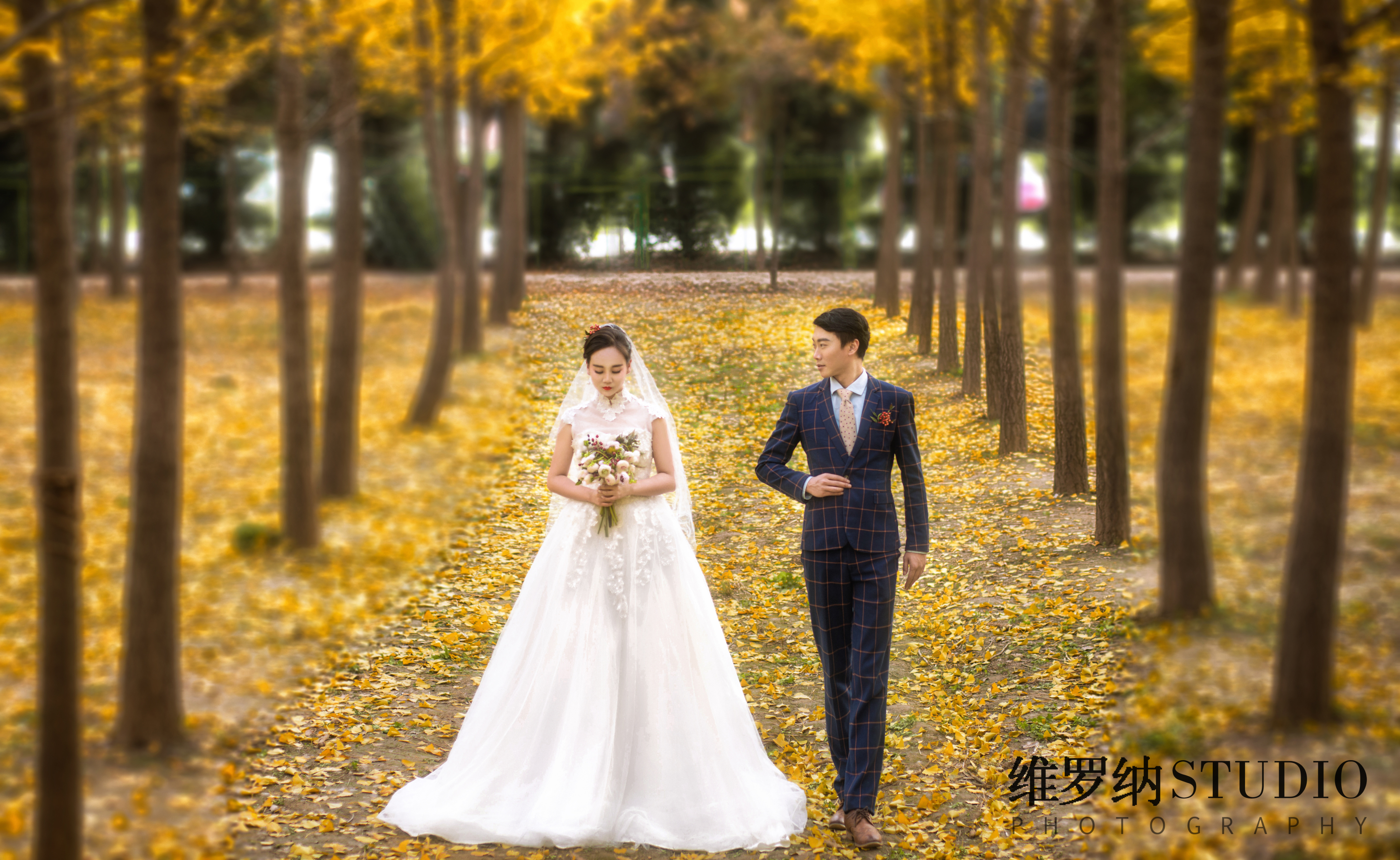 外景婚纱照秋季婚纱照银杏树