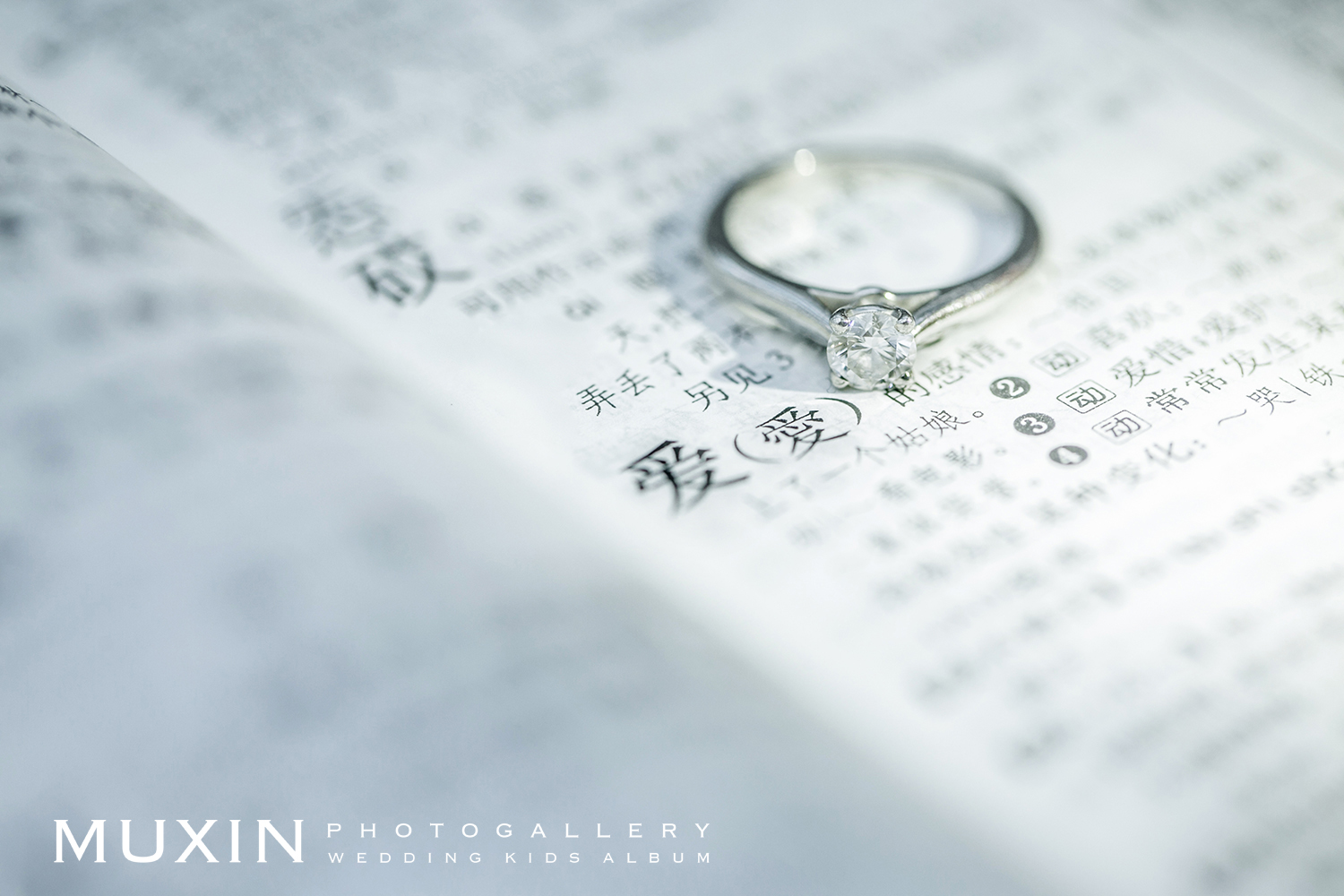 婚礼摄影婚礼跟拍