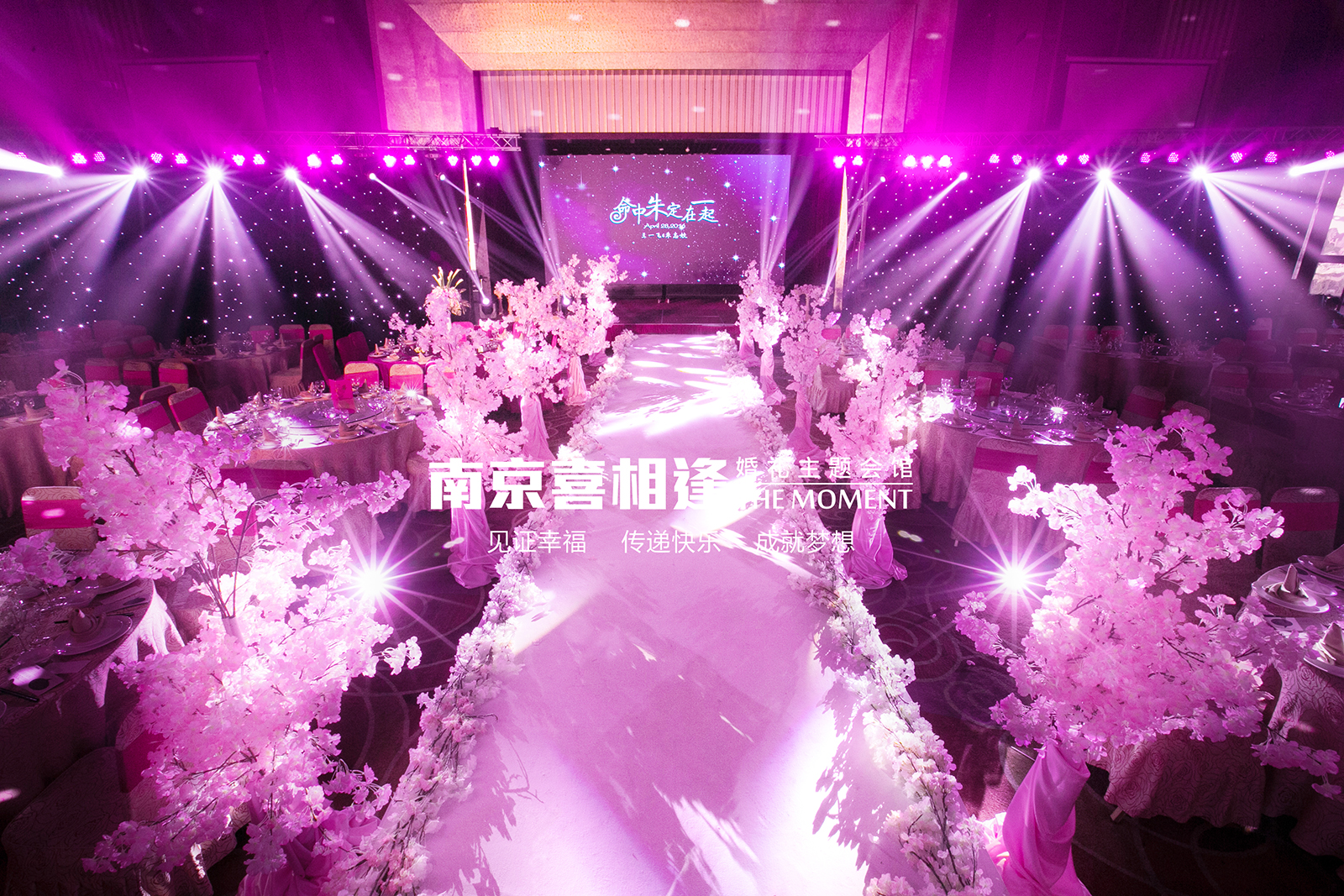 樱花路引,唯美浪漫婚礼,LED背景墙,