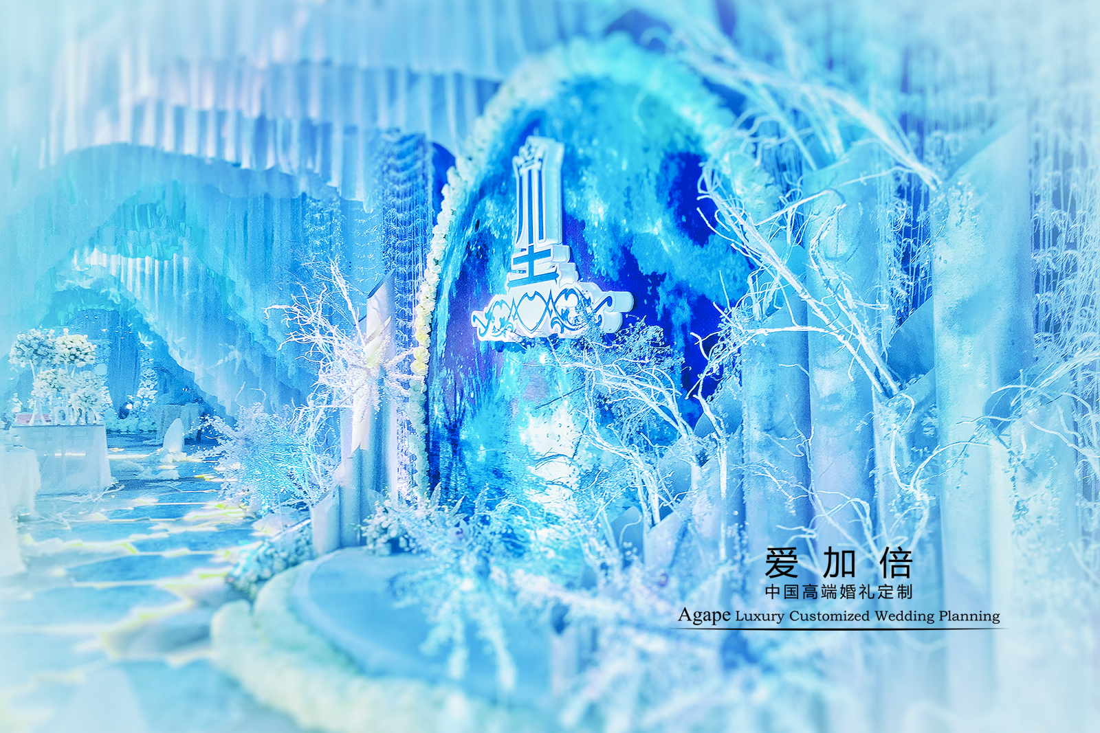 迎宾区,唯美梦幻风背景墙,婚礼布置,