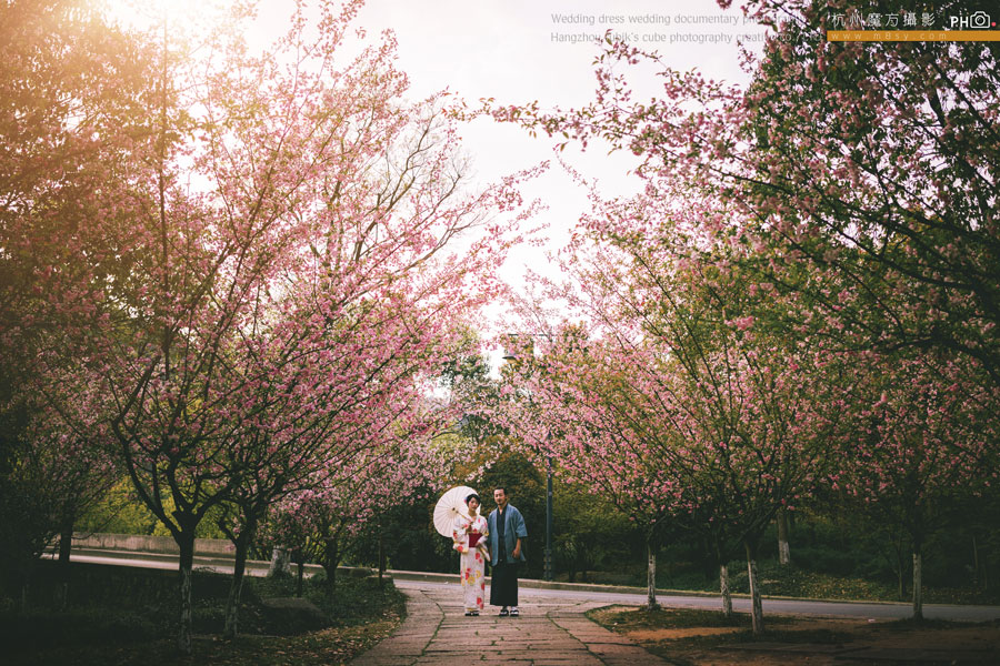 户外婚纱照,外景婚纱照,樱花花海婚纱照,