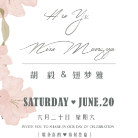 STH_BLUE独立婚礼工作室:婚礼平面设计作品——梦－在梦的毅始