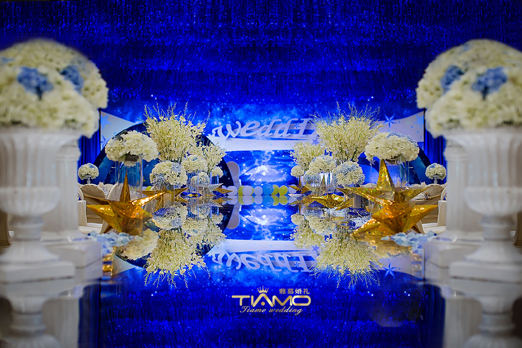 星空主题婚礼《T ♥ D》