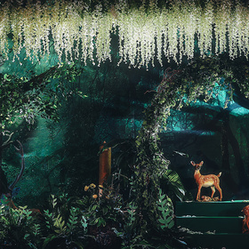 梦时光婚礼顾问:森林主题婚礼《微光森林》