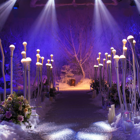 墨家婚礼纪:冰雪主题婚礼《第203隐迹   SNOW WORLD》