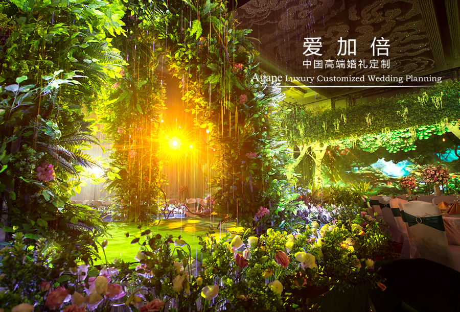 森系婚礼《绿光森林，遇见绿光，遇见幸福》