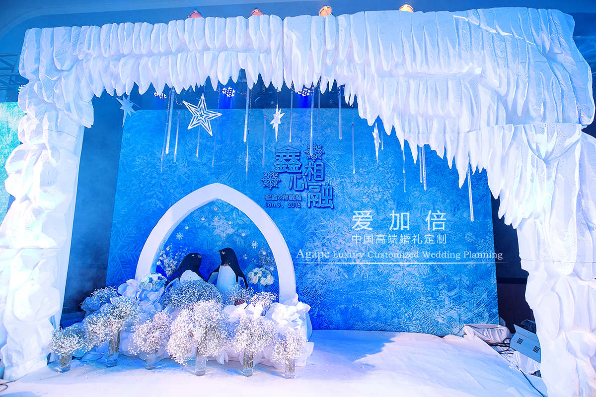 清新唯美冰雪主题婚礼