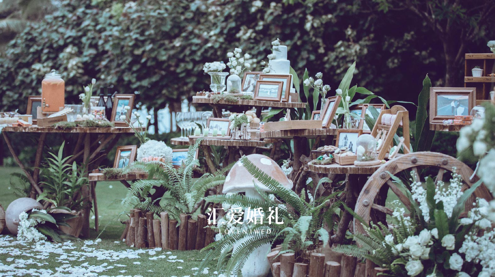 森系草坪婚礼 | 暮光之城