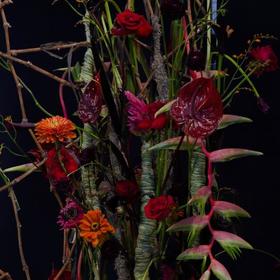 花艺师—高尚:秘境