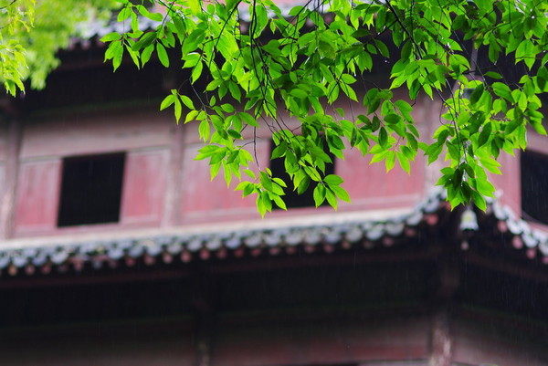 杭州蜜月攻略,