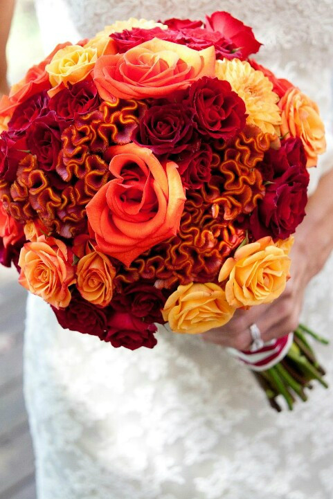 鸡冠花手捧花 真挚永恒的爱