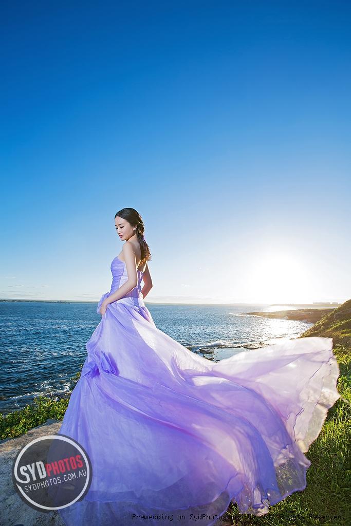 拉帕鲁兹紫色的梦-来自sydphotos澳洲婚纱摄影客照案例 |婚礼时光
