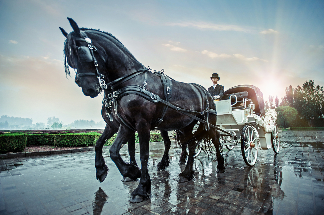 欧式宫廷风婚礼:盖茨比的花园